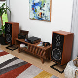 Audio Advisor