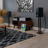Audio Advisor