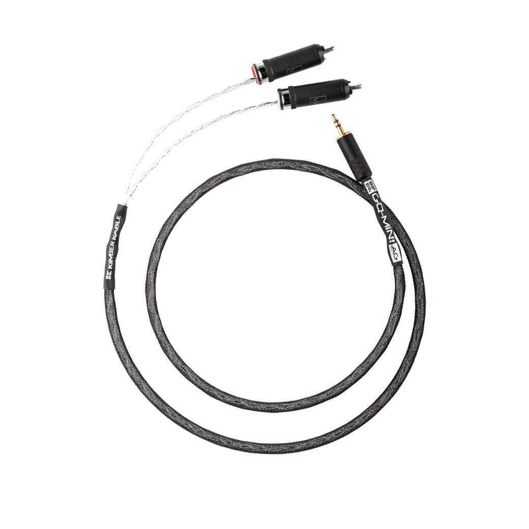 Audio Advisor