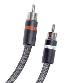 Audio Advisor