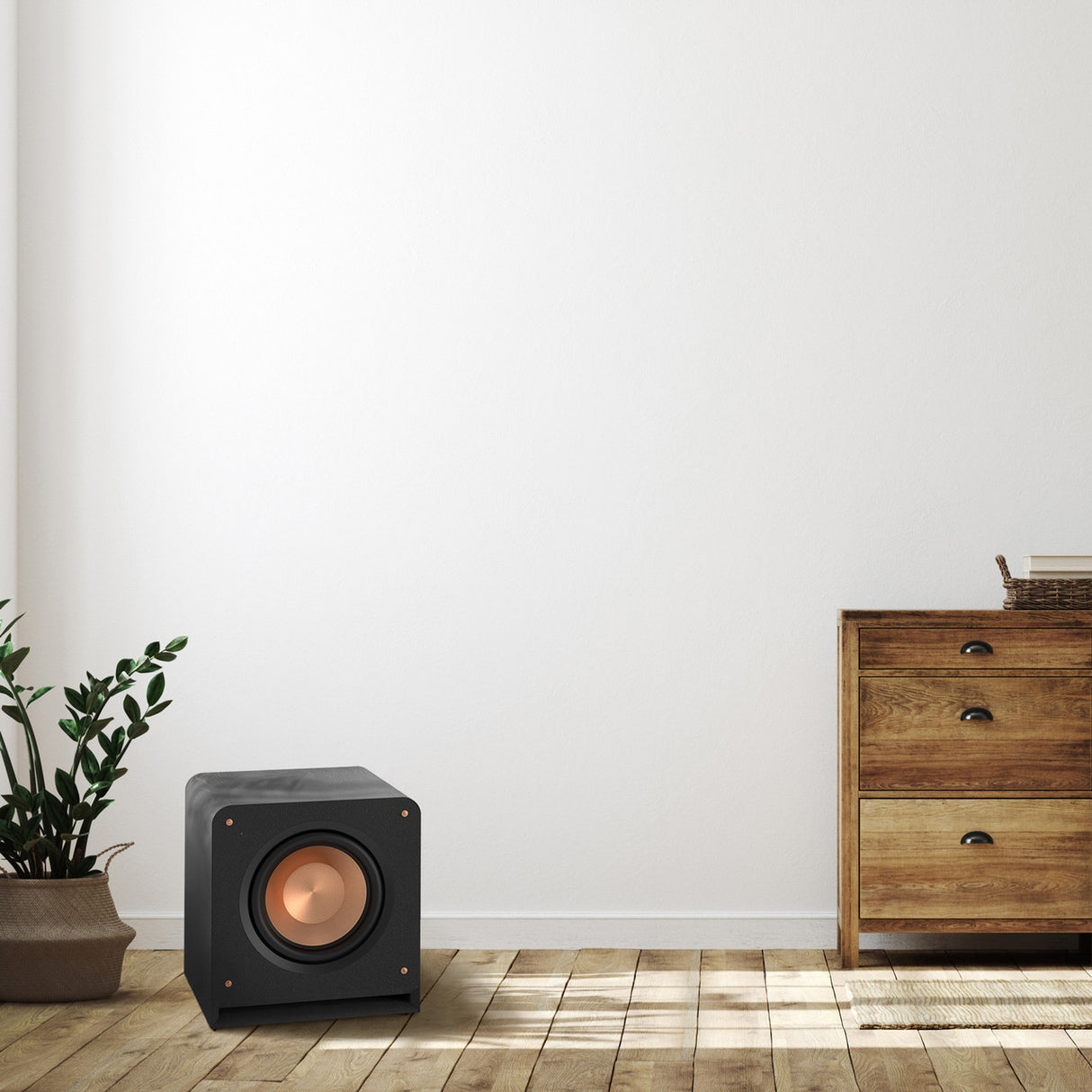 Audio Advisor