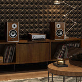 Audio Advisor