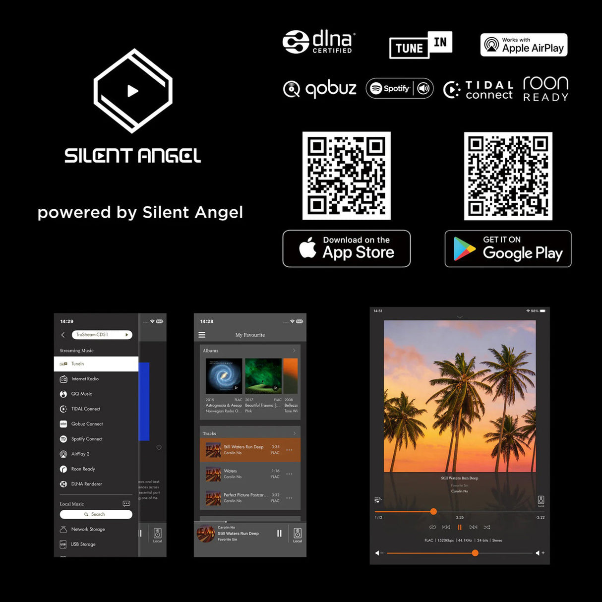 Audio Advisor