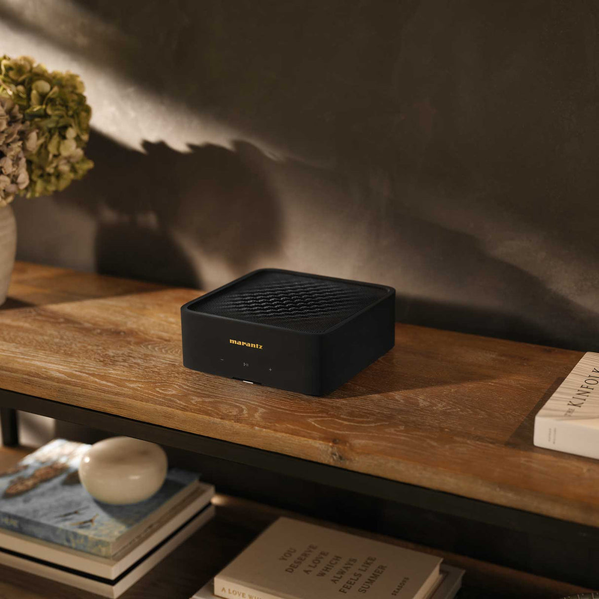 Audio Advisor