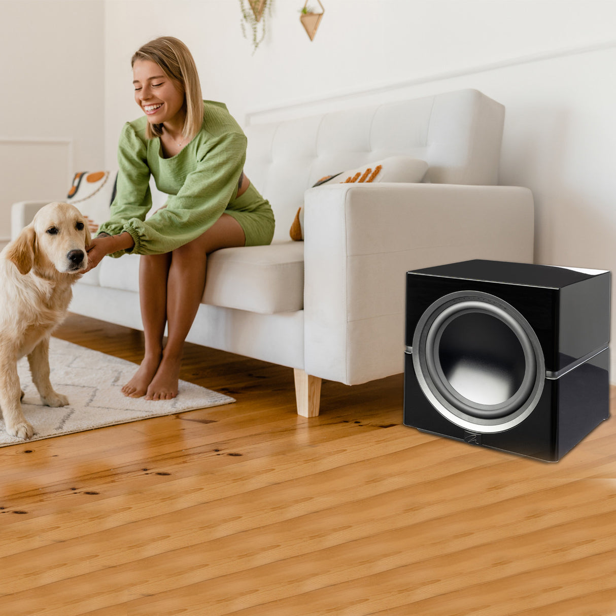Audio Advisor