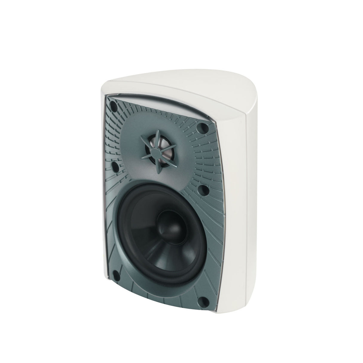 Audio Advisor