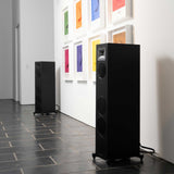 Audio Advisor
