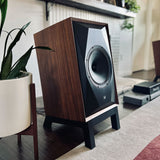 Audio Advisor
