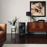Audio Advisor