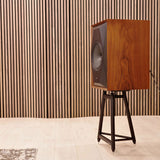 Audio Advisor