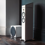 Audio Advisor