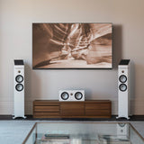 Audio Advisor