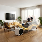 Audio Advisor