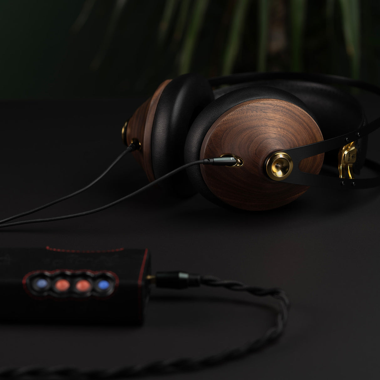 Audio Advisor