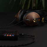 Audio Advisor