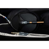 Audio Advisor