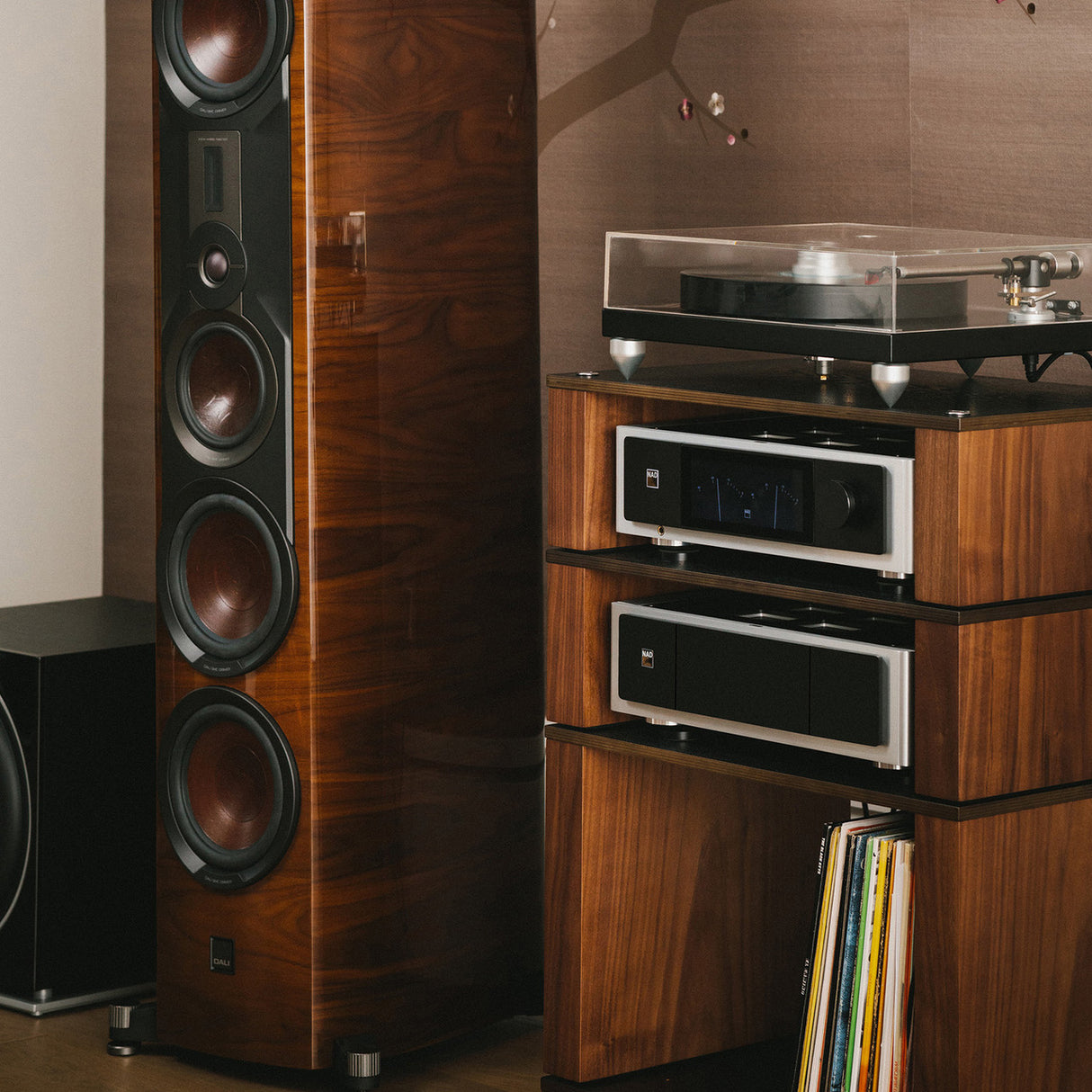 Audio Advisor