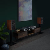 Audio Advisor