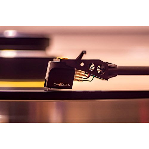 Audio Advisor