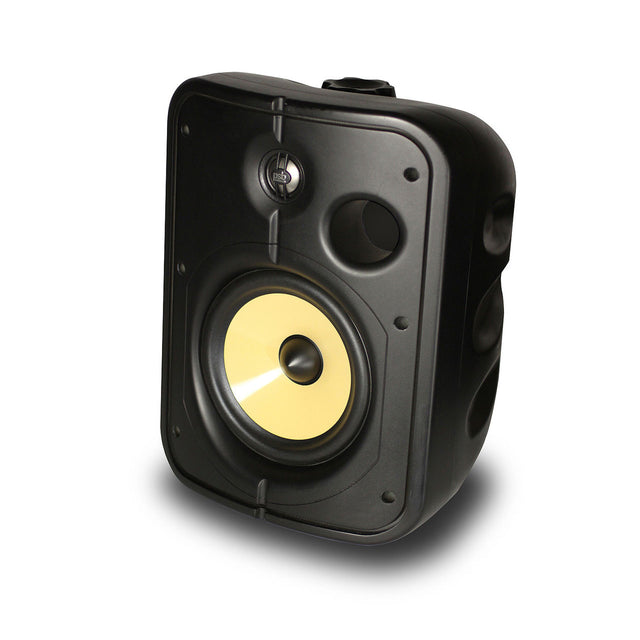Front of PSB CS1000 Outdoor / Universal Speakers