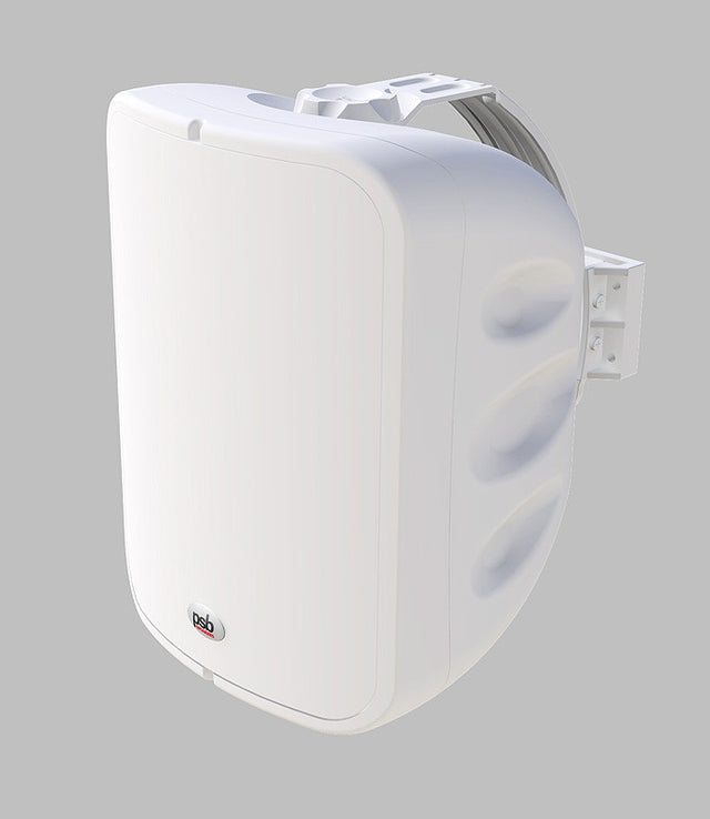 Front of PSB CS1000 Outdoor / Universal Speakers