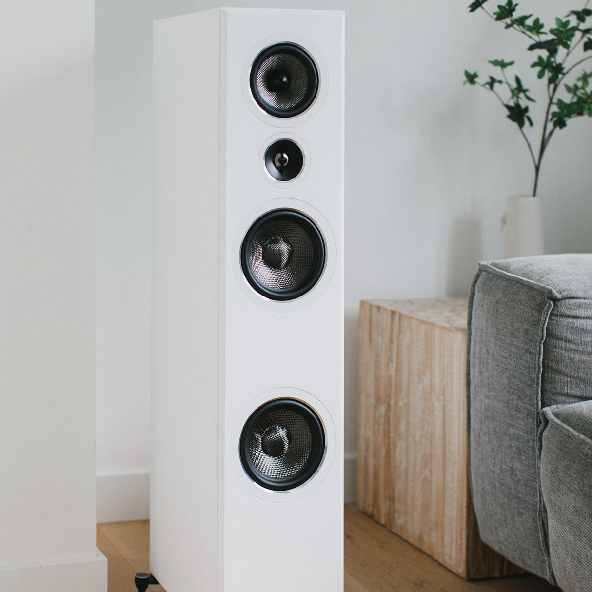 Audio Advisor