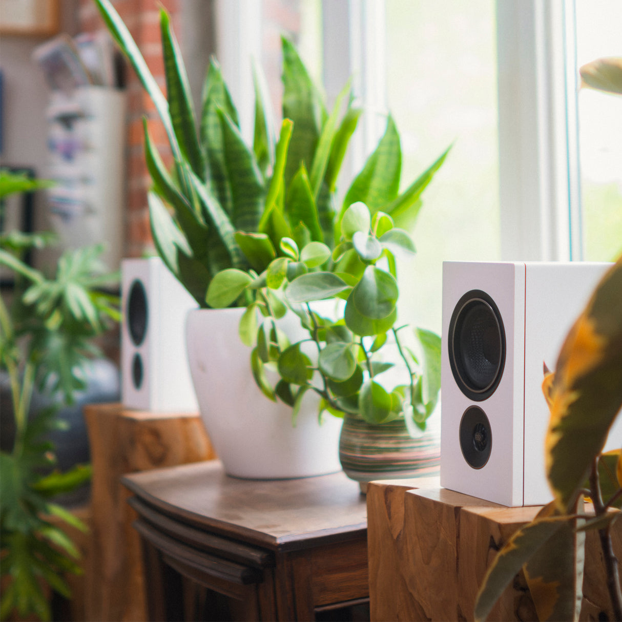 Audio Advisor