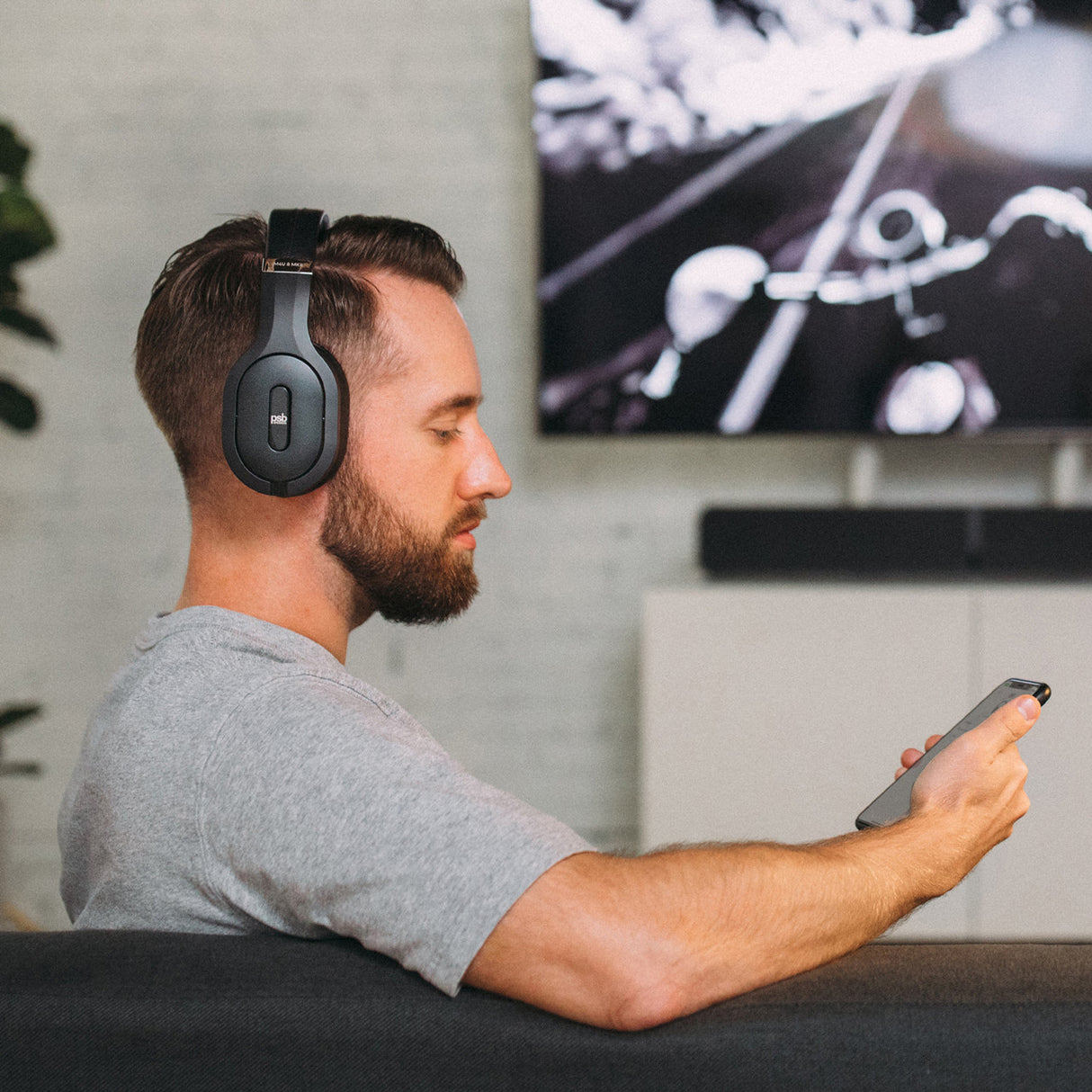 Audio Advisor