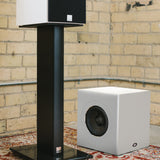 Audio Advisor
