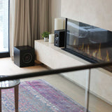 Audio Advisor