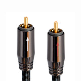 Audio Advisor