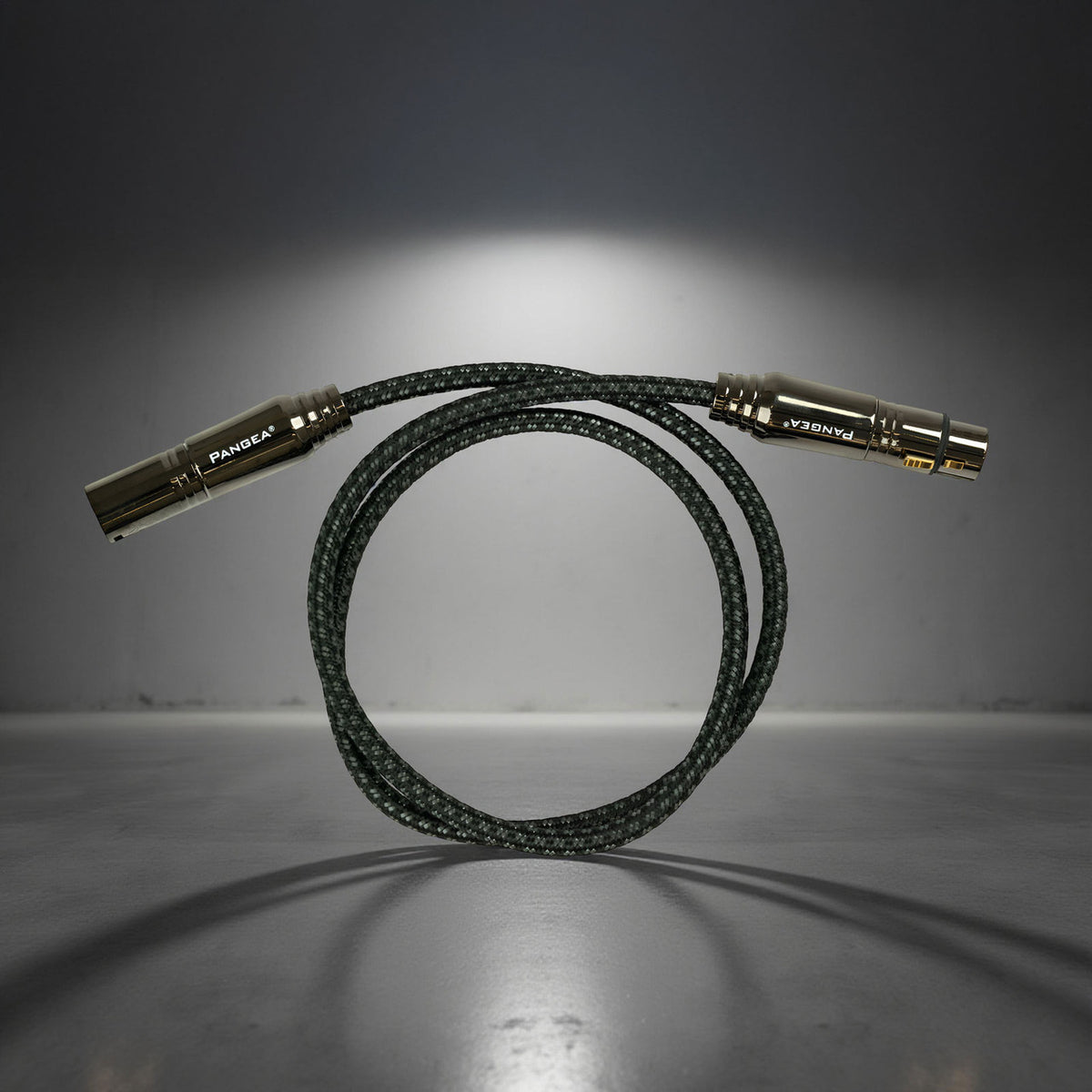 Audio Advisor