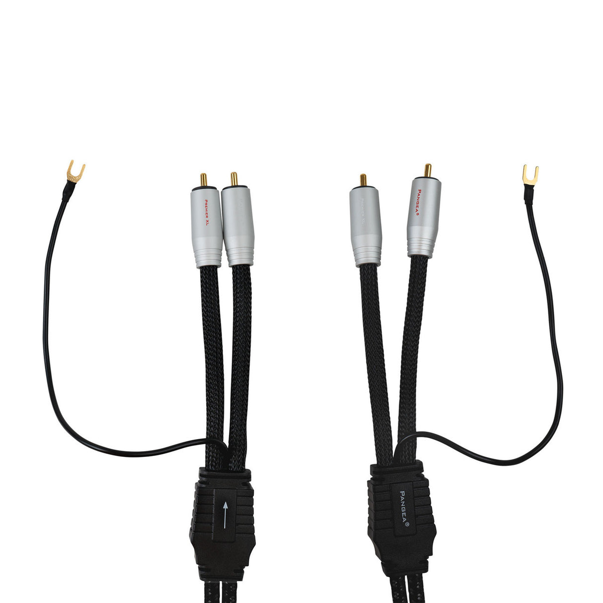 Audio Advisor