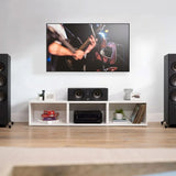 Audio Advisor