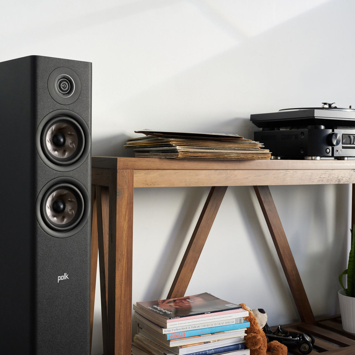 Audio Advisor