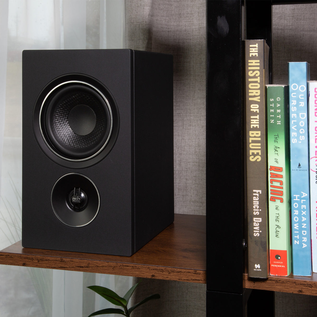 Audio Advisor