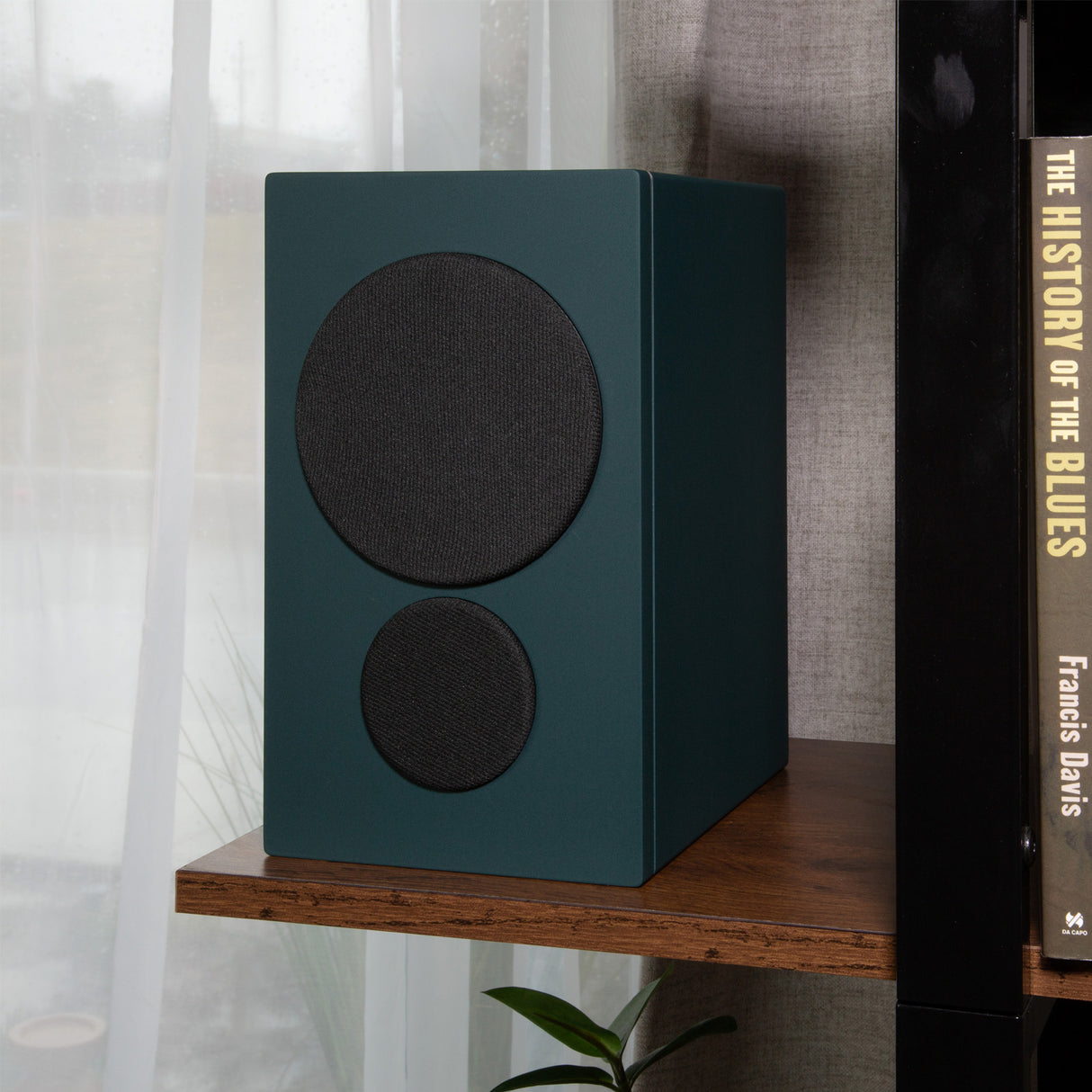 Audio Advisor
