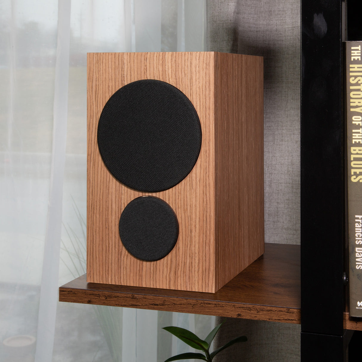 Audio Advisor