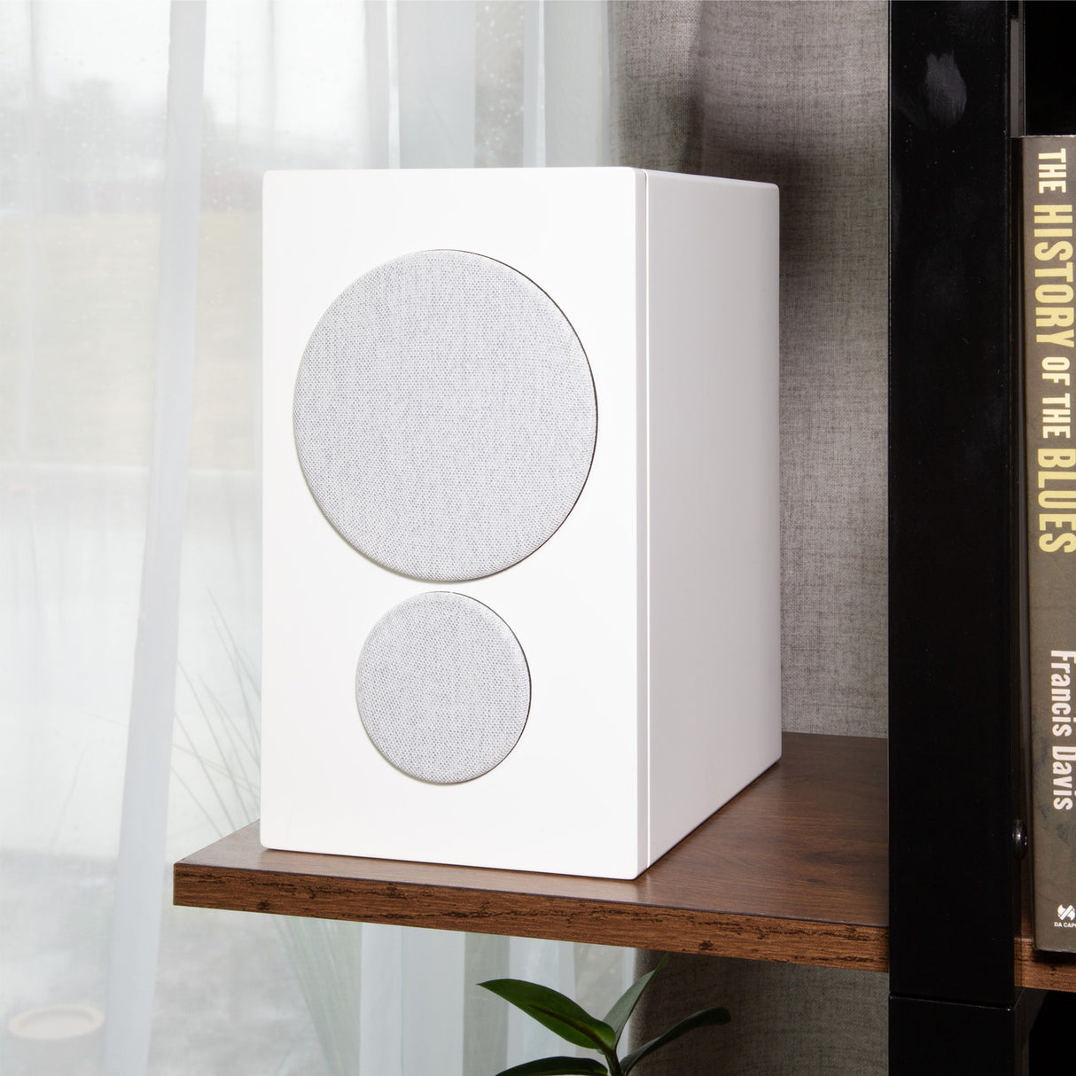 Audio Advisor