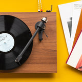 Audio Advisor