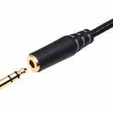 Audio Advisor