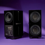 Audio Advisor