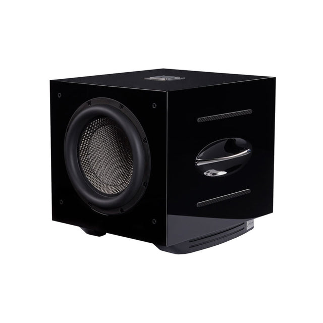 Left side of REL Carbon Special Subwoofer