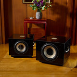 Audio Advisor