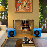 Audio Advisor