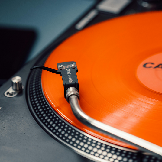 Audio Advisor
