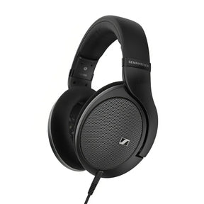 Audio Advisor