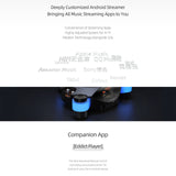 Audio Advisor