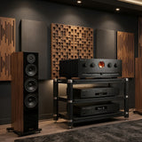 Audio Advisor