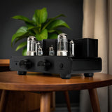 Audio Advisor